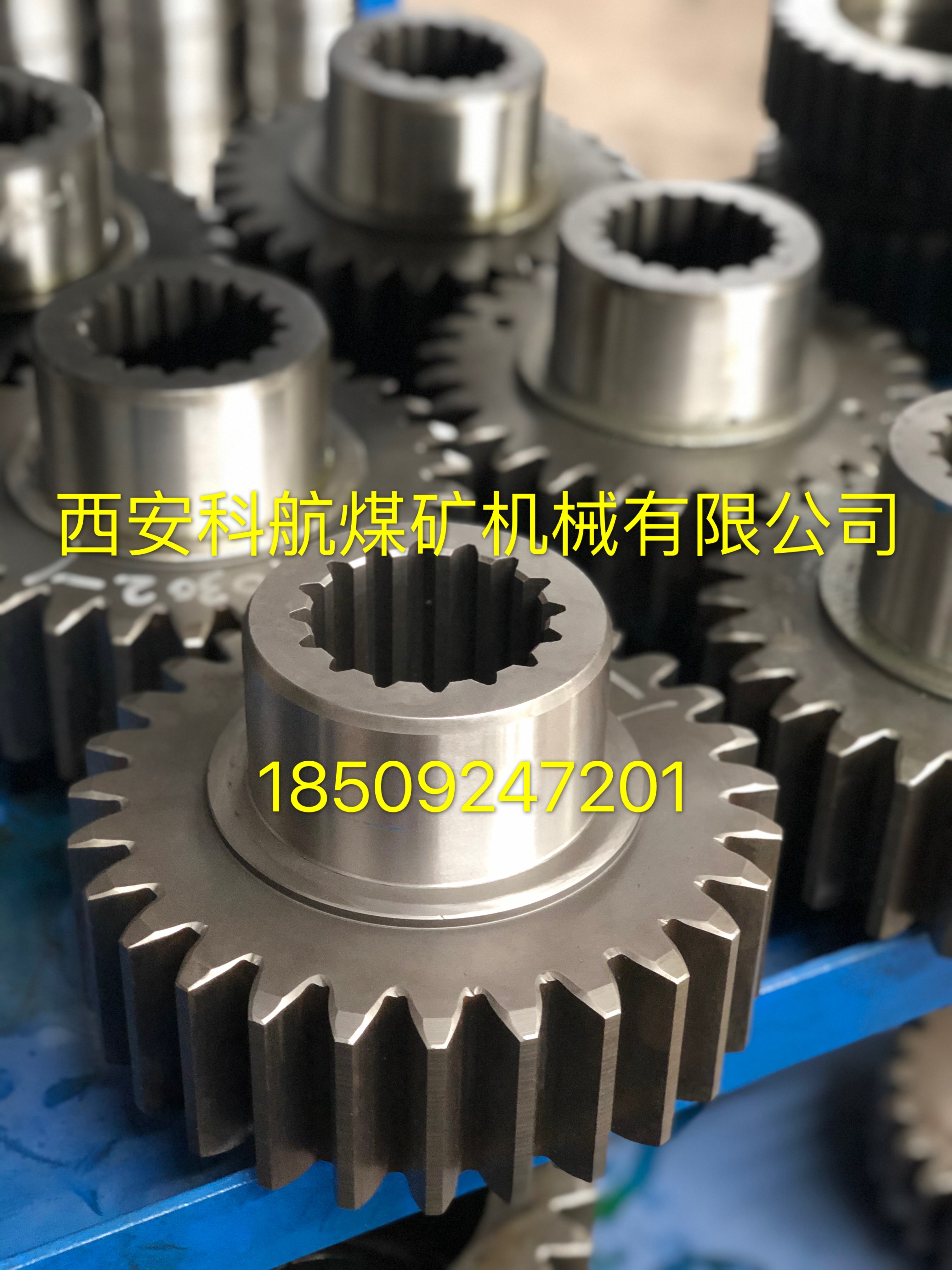 �c���鿴Ԕ��